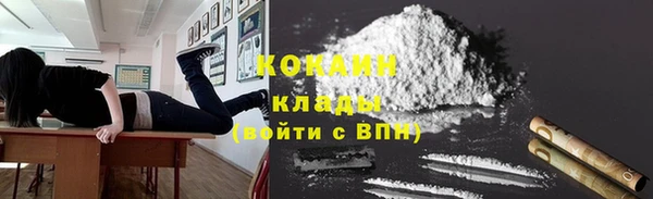 прущие грибы Баксан