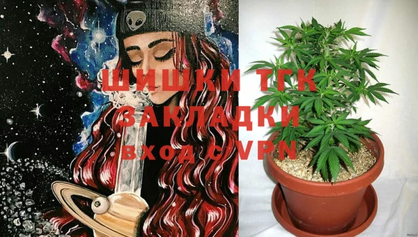 прущие грибы Баксан