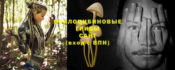 прущая мука Магас