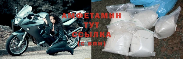прущие грибы Баксан