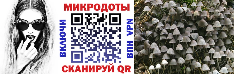 даркнет официальный сайт  блэк спрут   Пятигорск  Псилоцибиновые грибы MAGIC MUSHROOMS 